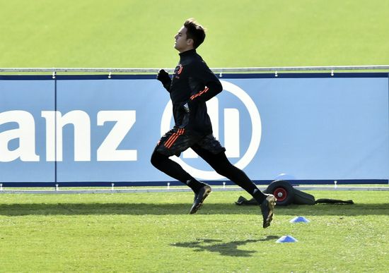 猫咪最新地域网名是什么懂的都懂