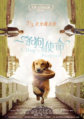 日韩av免费在线播放